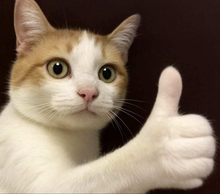 Honkai Star Rail - Oneiric Shards [300-6480] [UID] photo review